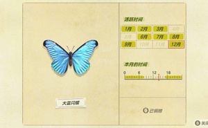 《集合啦動物森友會》北半球12月新增魚蟲一覽