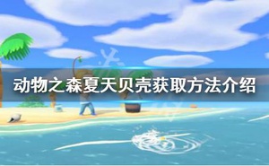 《集合啦動物森友會》夏天貝殼怎麼獲得 夏天貝殼獲取方法介紹