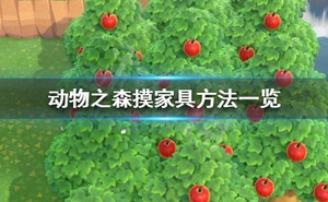 《集合啦動物森友會》怎麼摸傢俱 摸傢俱方法一覽