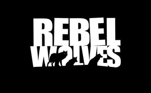 前《巫師3》藝術總監成立新工作室Rebel Wolves