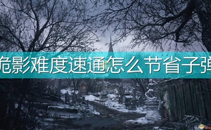 《惡靈古堡8：村莊》詭影難度速通節省子彈方法介紹