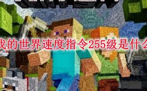 我的世界速度指令255級是什麼